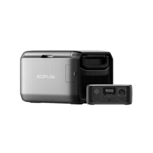 EcoFlow GLACIER 45L Classic Action Product